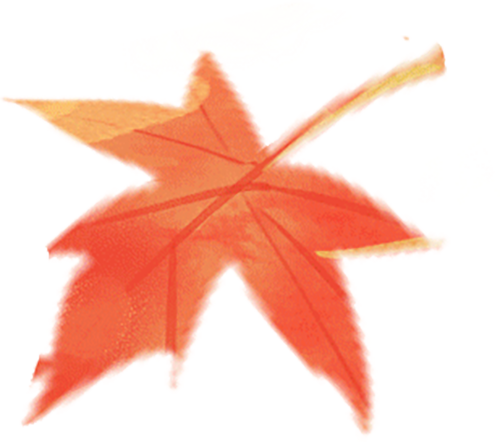 【健康科普】调理寒瘀···